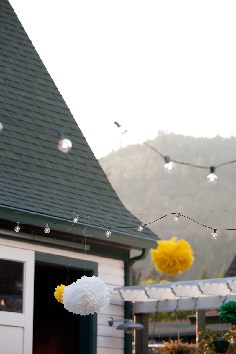 Oregon Duck's Wedding-1057
