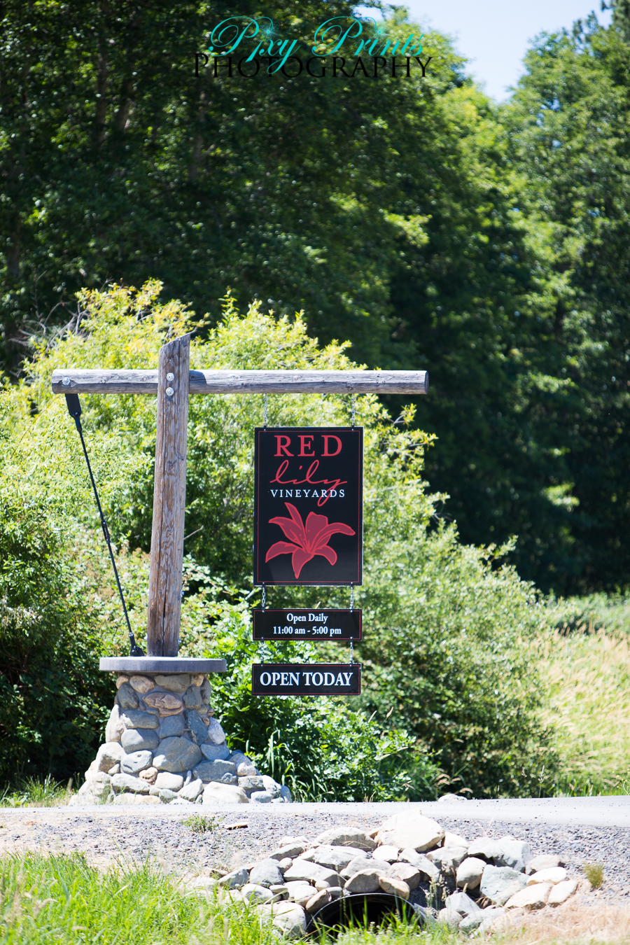 Red lily winery