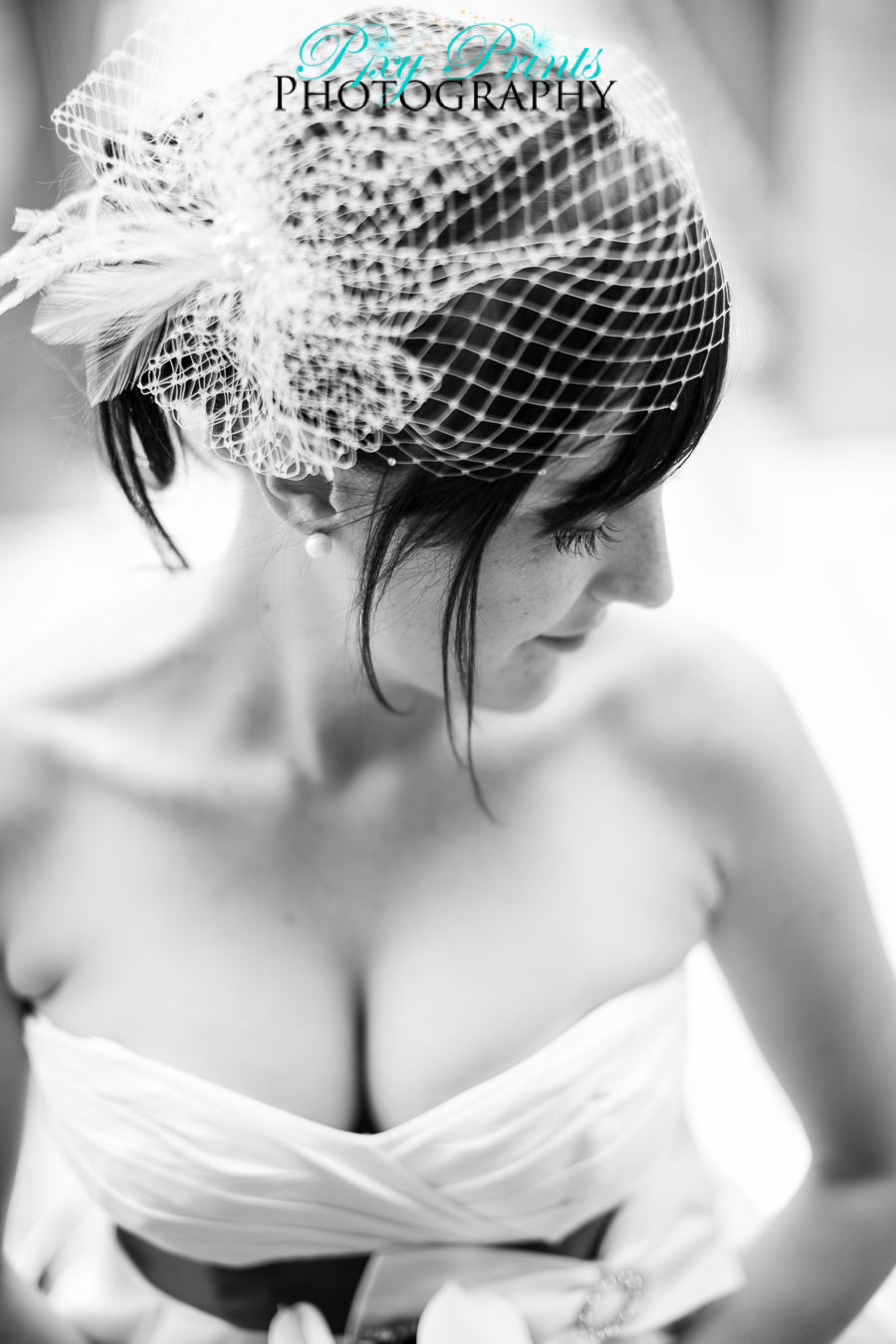 birdcage veil