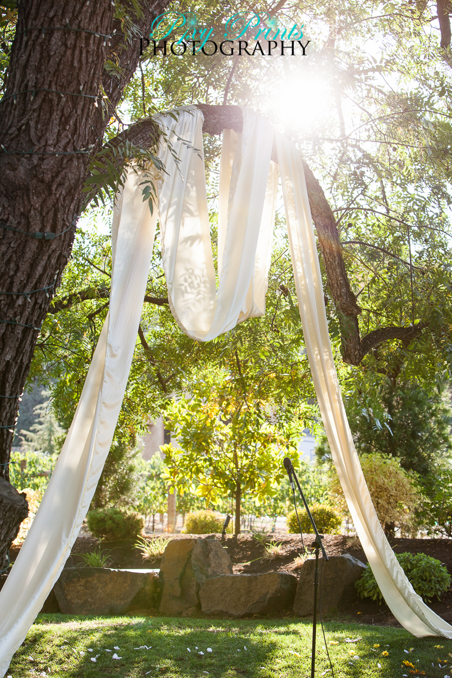 under tree wedding