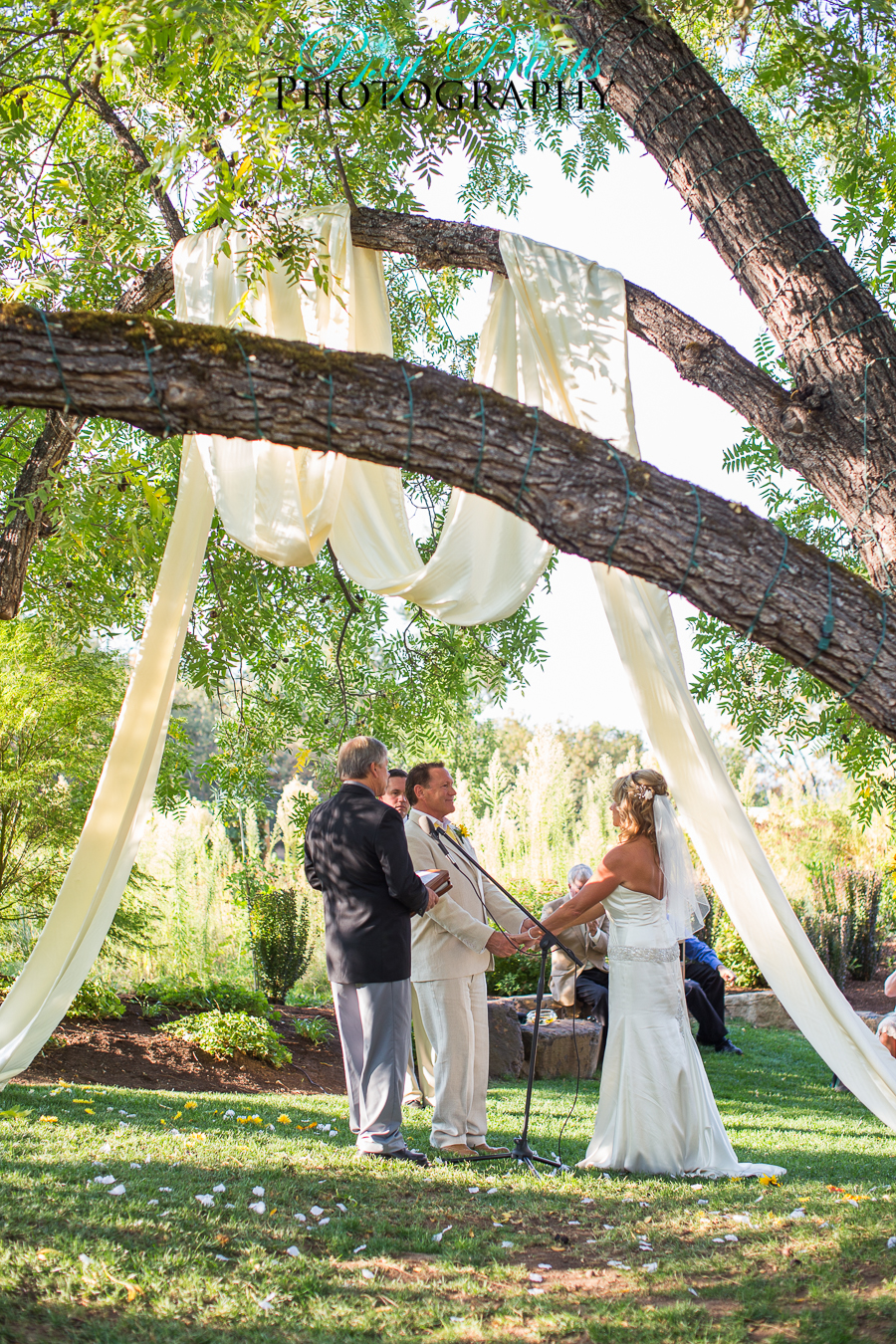 wedding ceremony under a tree