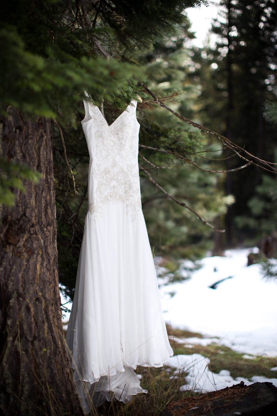 wedding dress in snow