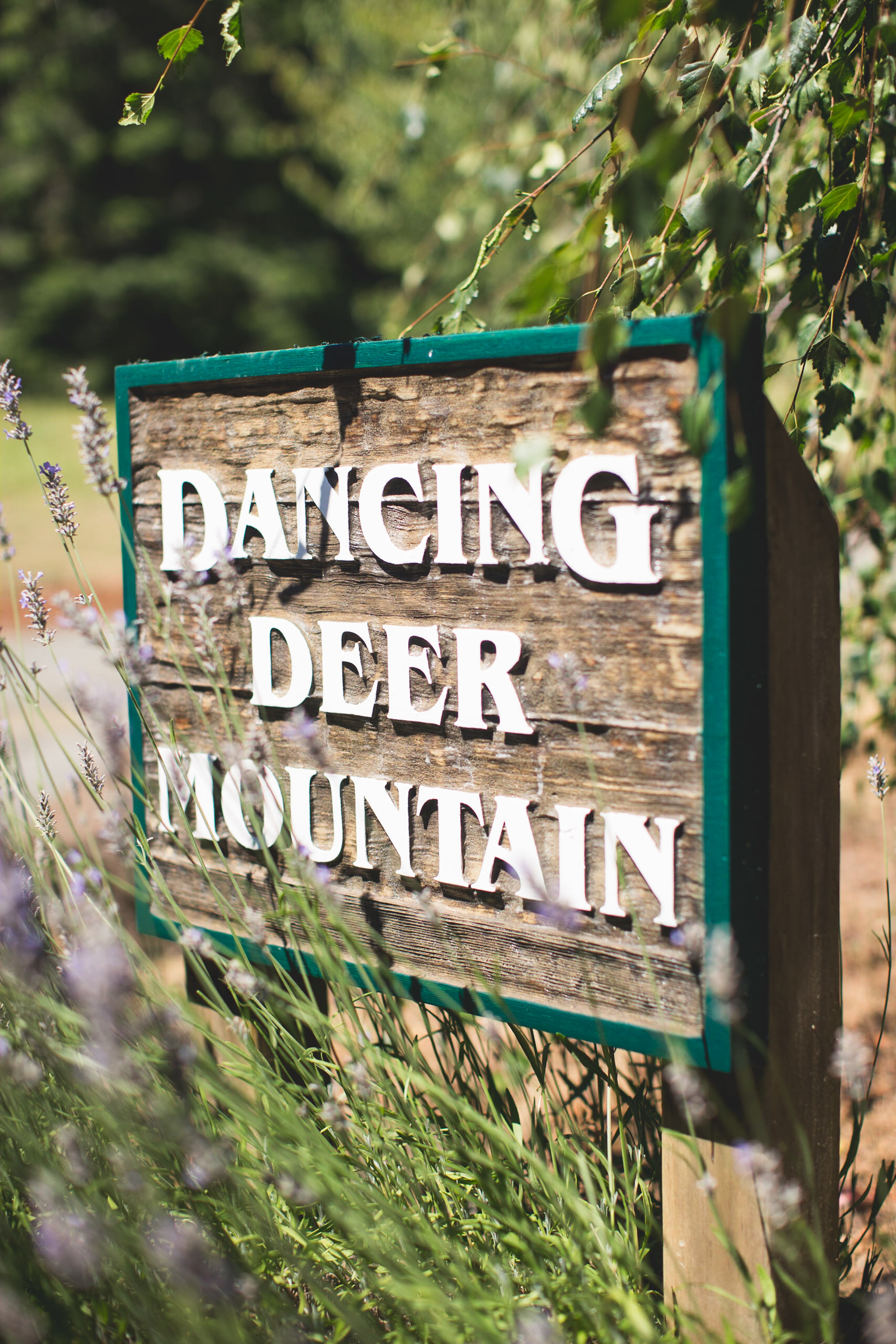 Dancing Deer Mountain Wedding